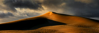 Golden Dune